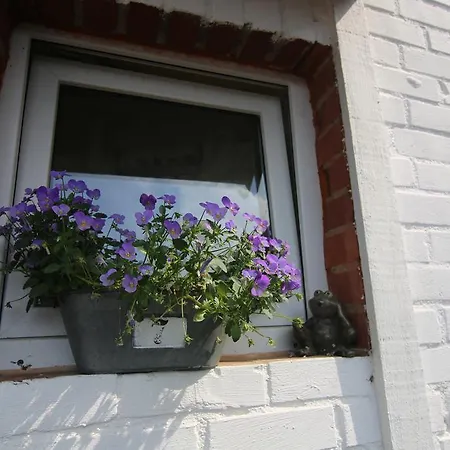Apartment Ferienwohnung Alte Schule *
